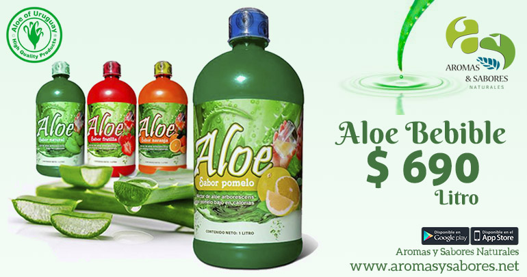 Aloe Bebible