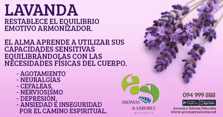 Lavanda