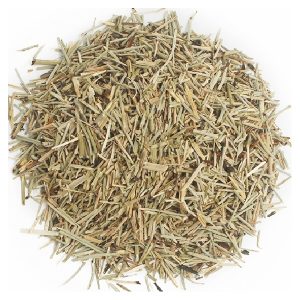 EUFRASIA